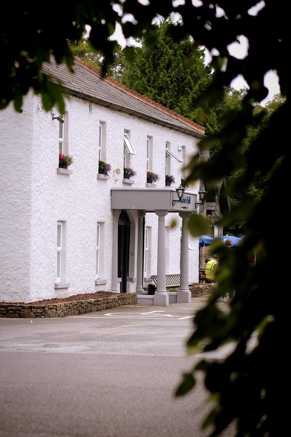 Racket Hall Country House Golf & Conference Hotel Roscrea Εξωτερικό φωτογραφία